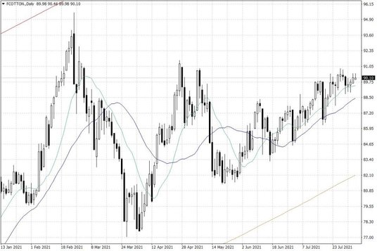 Notowania bawełny w USA – dane dzienne