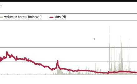 Rynek przecenił akcje Petrolinvestu