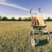 Włosi rezygnują z rodzicielstwa. Efekt pandemii