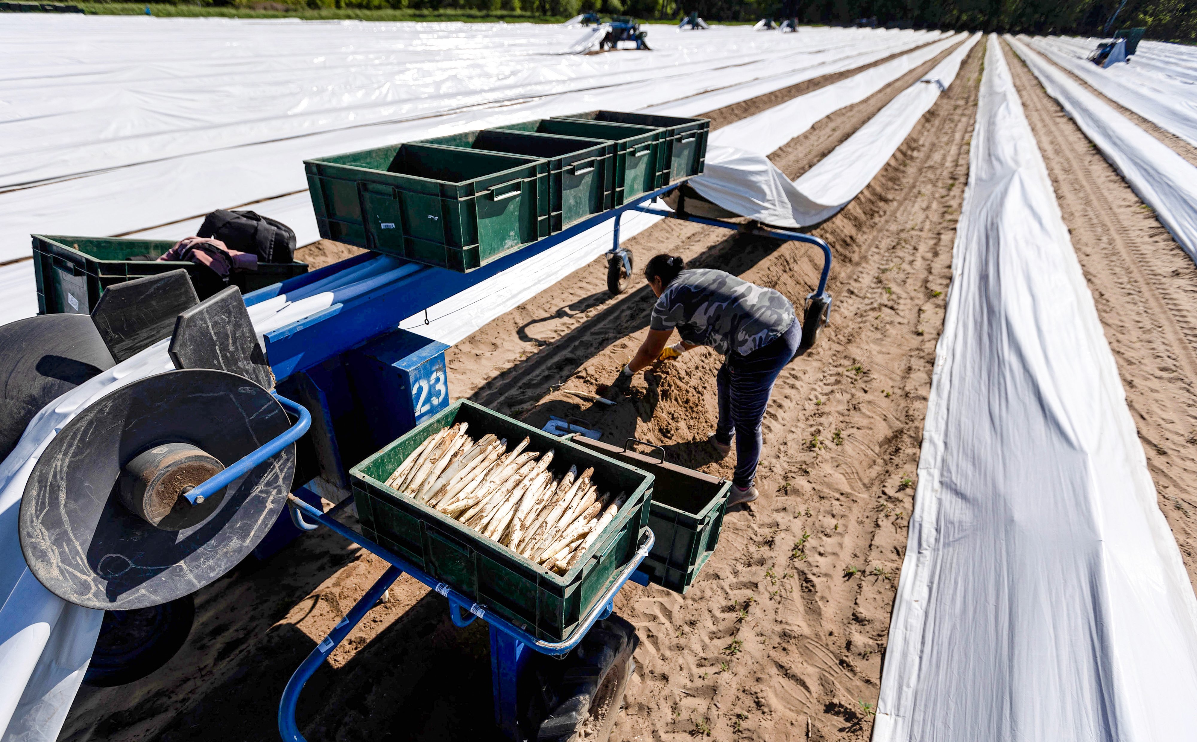 Anna Cieślak-Wróblewska: Polacy wolą pracować w kraju. To dobra wiadomość, ale nie dla wszystkich