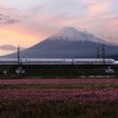W Japonii chłodzą serwery latem śniegiem z zimy. Tradycja i nowoczesność