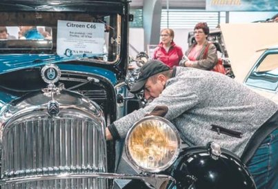 Zobaczyć na żywo, z bliska, nawet dotknąć – bezcenne doświadczenie.