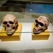 Naukowcy dowiedli, że neandertalczycy leczyli zęby / zdjęcie ilustracyjne