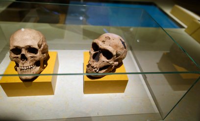 Naukowcy dowiedli, że neandertalczycy leczyli zęby / zdjęcie ilustracyjne
