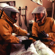 W „Epidemii” (po lewej Dustin Hoffman) apokalipsie udaje się jeszcze zapobiec