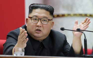 Prof. Kim Jen Un: Plotki o śmierci Kim Dzong Una tworzą przeciwnicy Trumpa