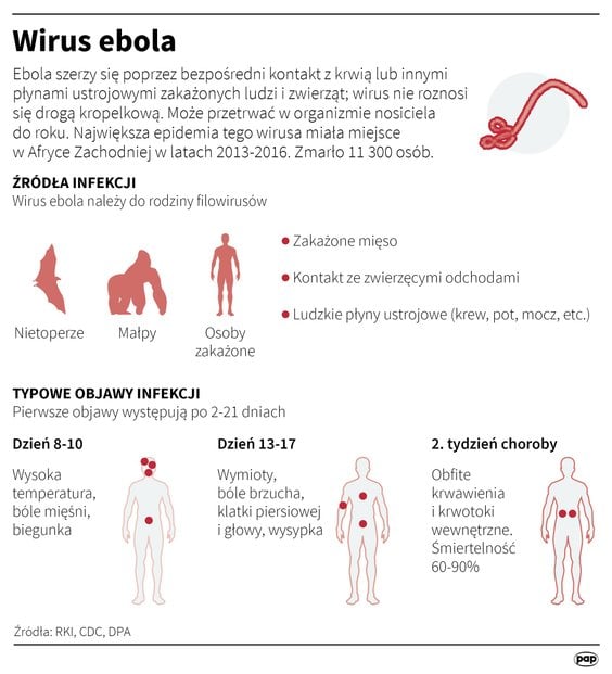 Wirus ebola