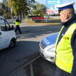 Małopolskie: Na osiemnastkę trzyosobowym autem w siedem osób i z kozą