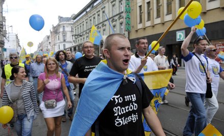 W Narodowym Spisie Ludności z 2011 roku narodowość śląską zadeklarowało, jako jedyną, 376 tysięcy os