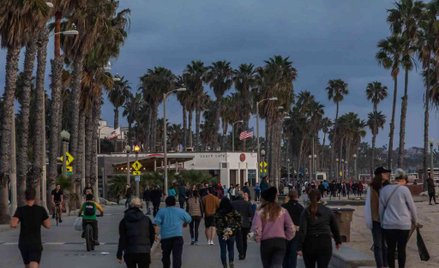 Kalifornia: W osiem tygodni wirusem zarazi się 25,5 mln osób?