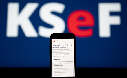 Z sygnałów napływających do redakcji „Rzeczpospolitej” wynika, że wiele firm nie będzie gotowych na 