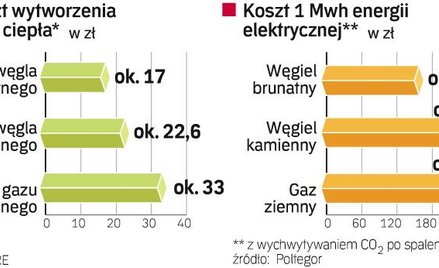 Brunatna nadzieja polskiej energetyki