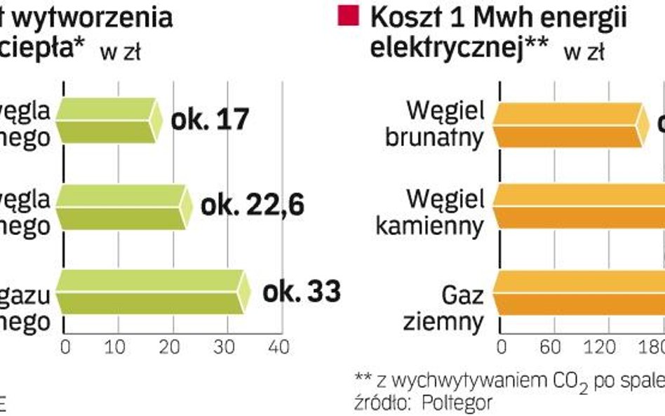 Brunatna nadzieja polskiej energetyki