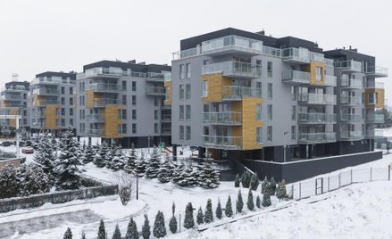 Projekt Chojny Park I już gotowy
