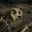 Trzeba umożliwić opiekę na grobem