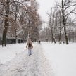 Jaka pogoda czeka nas zimą?