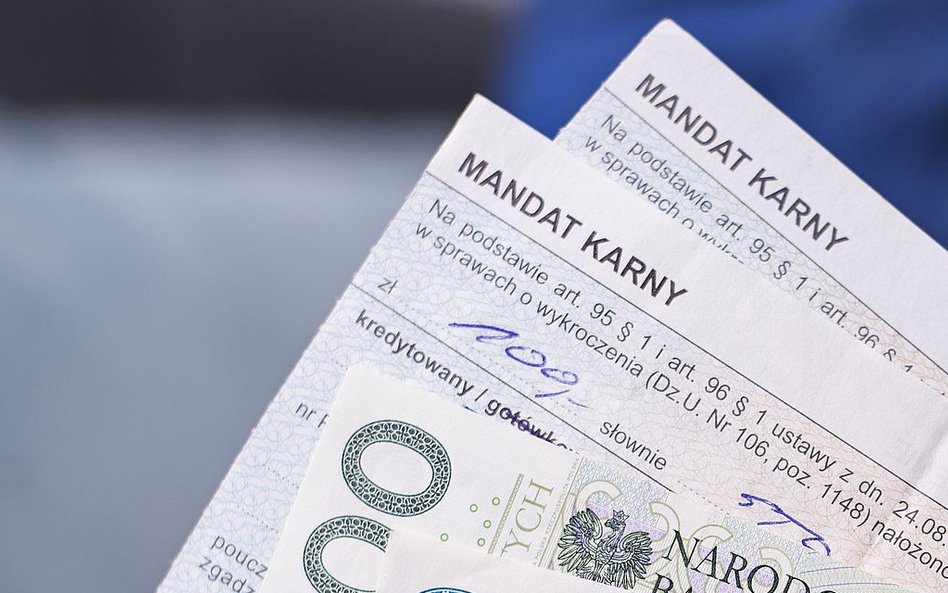 mandat to forma grzywny za wykroczenie