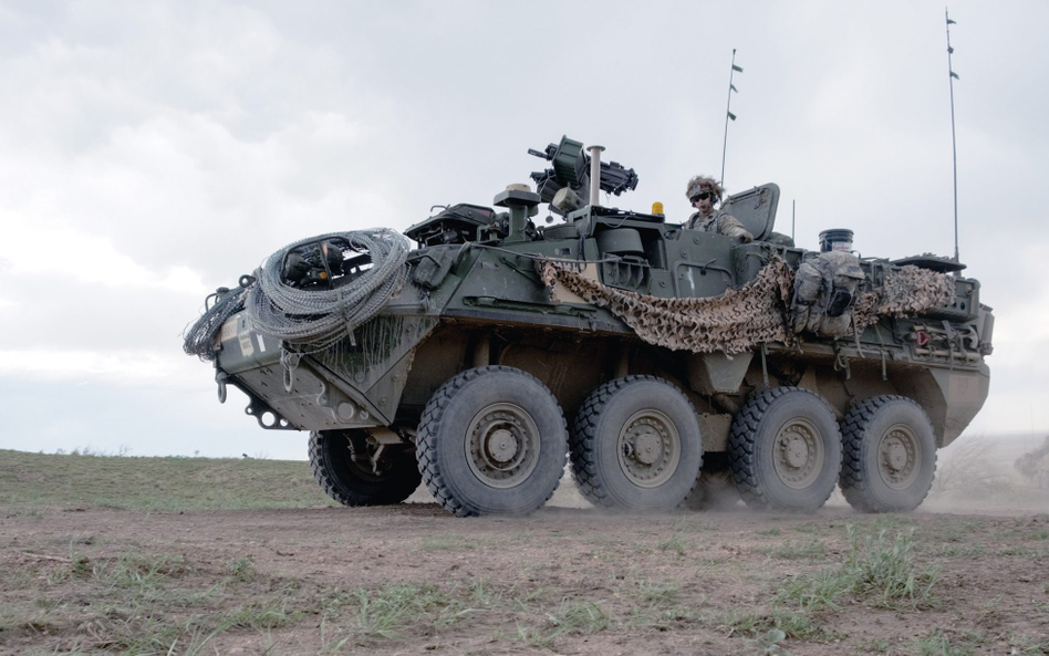 Kołowy transporter opancerzony M1126 Stryker.