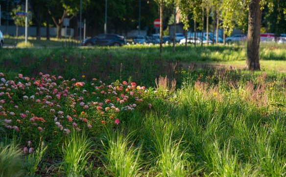 Zmiany na ul. Ordona