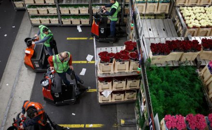 Jak się nie zawieźć pracą za granicą