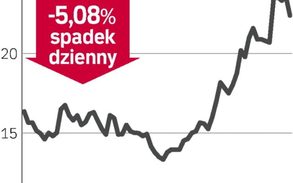 Wyniki rozczarowały inwestorów