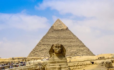 Egipt zgodził się na import drobiu i mięsa wołowego z Polski