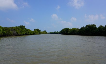 Indie: Substancje chloroorganiczne źródłem tajemniczej choroby?