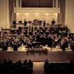 I, Culture Orchestra w Tallinie