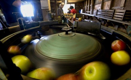 W Polsce będzie rosła sprzedaż cydru