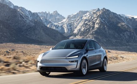 Tesla Y - najpopularniejszy model marki w Polsce