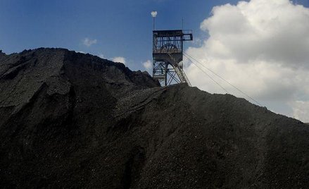 New World Resources, holenderski giełdowy koncern wydobywczy notowany w Warszawie, Londynie i Pradze