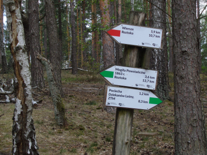 Trasa Rajdu Rowerowego do Puszczy Kampinoskiej wieść będzie przez jeden z najbardziej znanych punktó