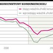Niepewne tempo wzrostu konsumpcji w 2010 roku