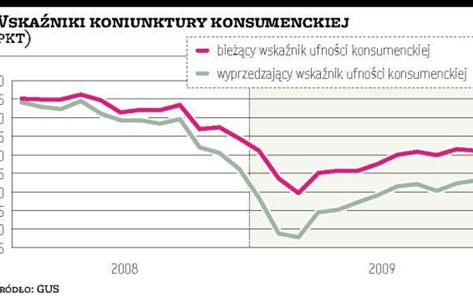 Niepewne tempo wzrostu konsumpcji w 2010 roku