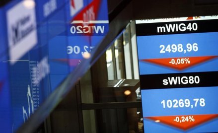 Dziesięć spółek z sWIG80 z niskim C/Z. Czy są warte uwagi?