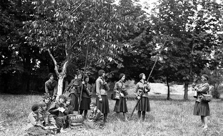 Członkinie Przysposobienia Wojskowego Kobiet (PWK; do organizacji należała także Elżbieta Zawacka) p