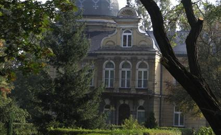Ogród w mieście