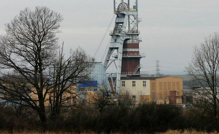MSP chce od KGHM 7,1 - 9 zł dywidendy na akcję