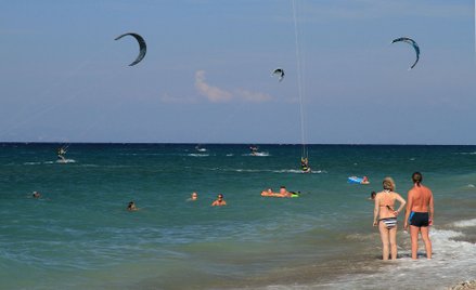 Bułgaria w ostatnim tygodniu osiągnęła najwyższą swoją średnią cenę – 3905 złotych