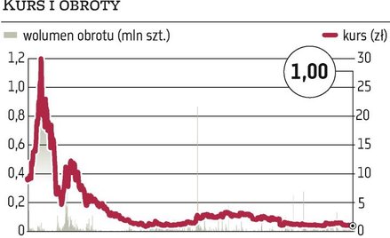 Divicom będzie sprzedawał paliwa zamiast komputerów