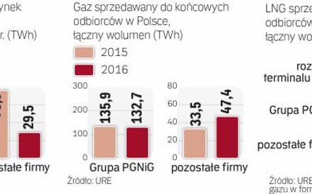 Alternatywni dostawcy gazu zwiększyli sprzedaż do końcowych odbiorców