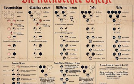Diagramy skierowane do Niemców, aby propagować i wprowadzać ustawy norymberskie