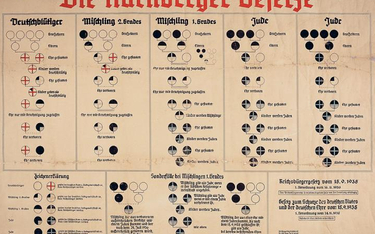 Diagramy skierowane do Niemców, aby propagować i wprowadzać ustawy norymberskie