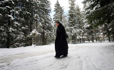 Polacy coraz rzadziej chodzą do lasu