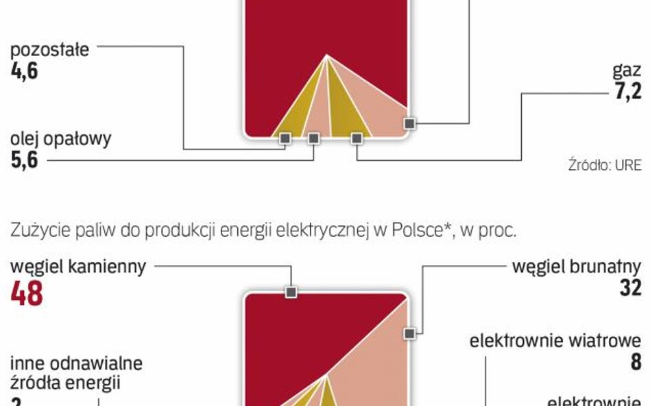 Większość energii produkowana jest z węgla