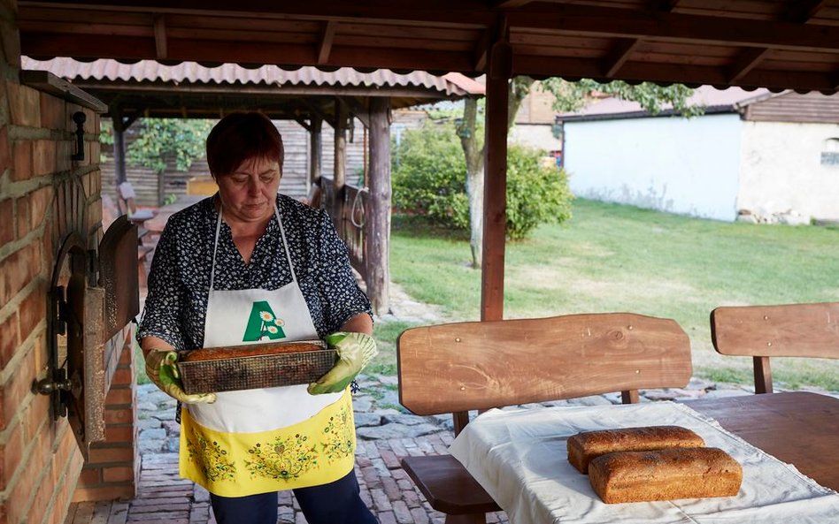 Pani Katarzyna Zacharewicz z agroturystyki Ola w Słajszewie wypieka chleb w tradycyjnym piecu (fot. 