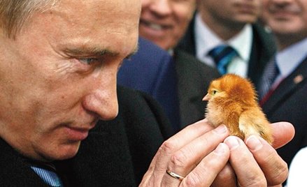 Nie ma człowieka – nie ma problemu