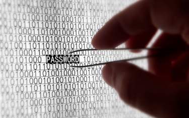 Najczęstsze hasło urzędników państwowych? "Password123"
