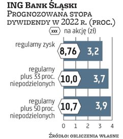 W przyszłym roku ING Bank Śląski kolejny raz powinien być w stanie wypłacić 50 proc. zysku. Ten zaś 