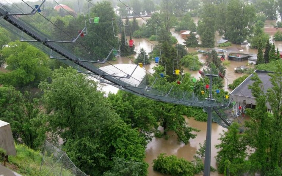 Zalane Zoo w Pradze